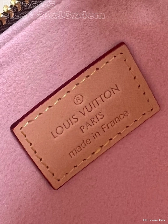 AAA Replica Ru VUITTON Lexington Pouch-21.5*13*4.5CM LOUIS 0716